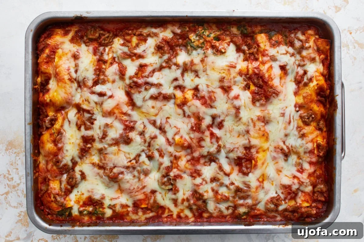 Irresistible Gluten-Free Lasagna 13 A fully baked gluten-free lasagna, golden brown and bubbly, in a tin baking dish fresh out of the oven, steam still rising.