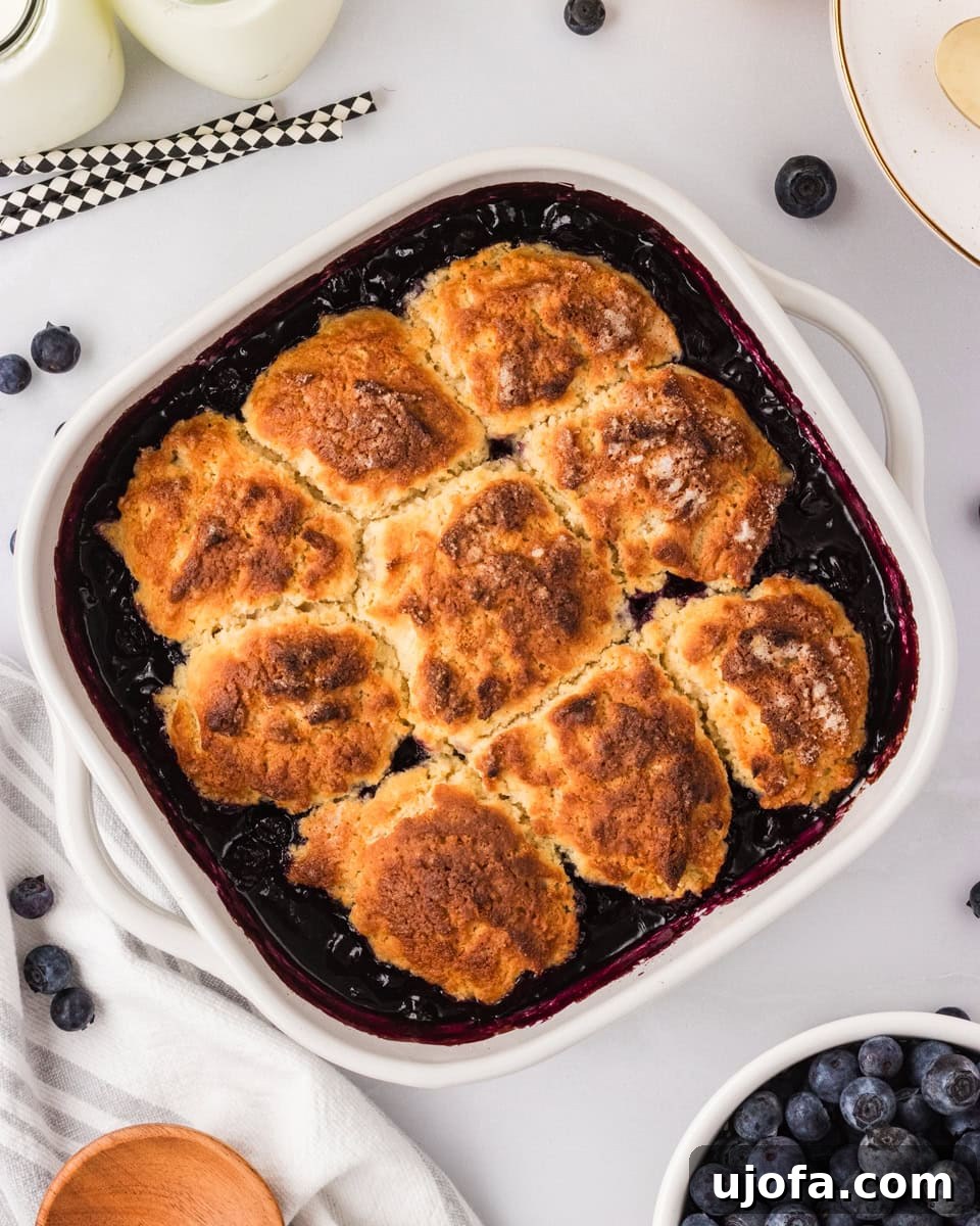 Freshly baked gluten-free blueberry cobbler in a white square baking dish with golden biscuit topping and bubbling blueberry filling.