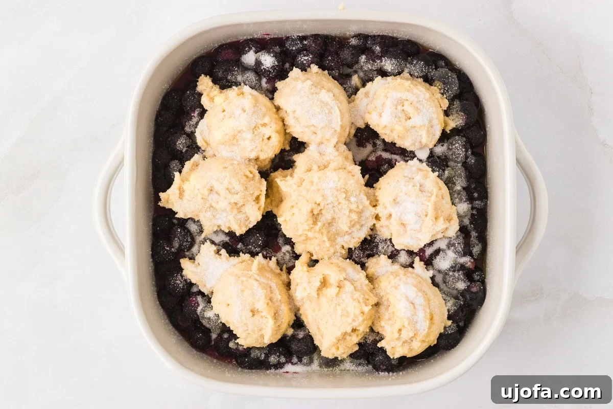 Scoops of biscuit dough placed over the blueberry filling in a baking dish, sprinkled with sugar before baking.