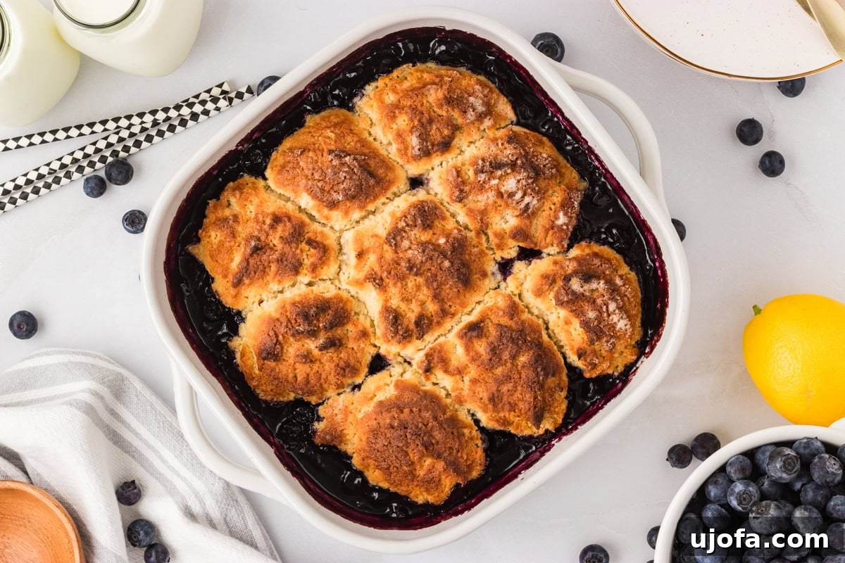 Golden brown gluten-free blueberry cobbler fresh from the oven with bubbly edges and a crisp sugar topping.