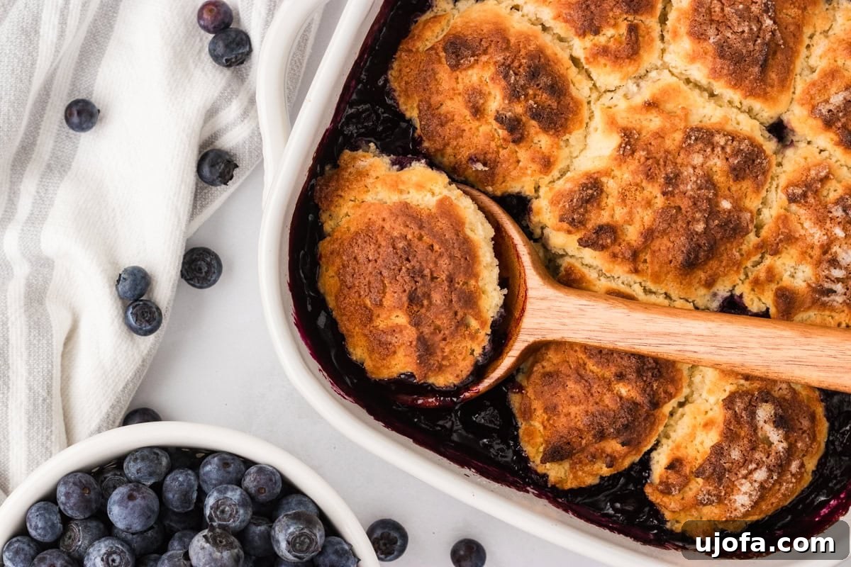 Close-up of gluten-free blueberry cobbler being scooped from a white baking dish with a wooden spoon, showing golden topping and juicy blueberry filling.
