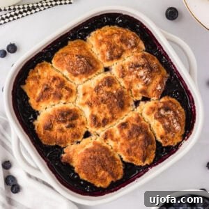 Freshly baked gluten-free blueberry cobbler in a white square baking dish with golden biscuit topping and bubbling blueberry filling.
