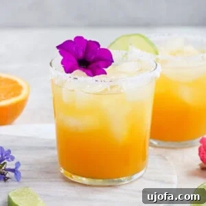 Exotic Passion Fruit Margarita Bliss 8 passionfruit margarita with salt on the rim and a purple flower garnish