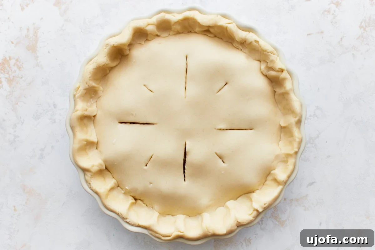 The Ultimate Gluten-Free Chicken Pot Pie 14 uncooked gluten-free chicken pot pie