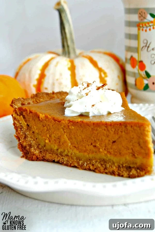 Savor the Season: Gluten-Free Pumpkin Masterpieces 5 A slice of Easy Gluten-Free Pumpkin Pie with whipped cream of top with pumpkins and coffee cup in the background