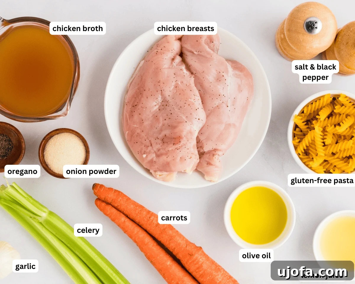 A vibrant flat lay showcasing the essential ingredients for gluten-free chicken noodle soup: fresh carrots, celery stalks, boneless chicken, gluten-free rotini pasta, a lemon, a container of gluten-free chicken broth, and a small bowl of dried thyme, all neatly arranged on a rustic wooden surface.