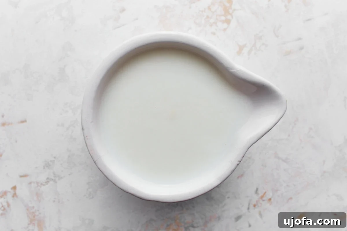 A top-down view of a small white ceramic bowl with a spout, filled with fresh white buttermilk, placed on a textured white and gray surface