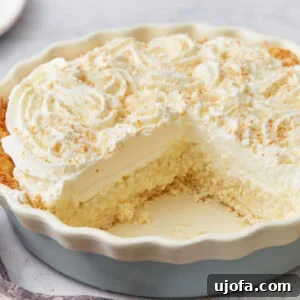 A enticing side view of a gluten-free coconut cream pie, with a generous slice missing, revealing luscious layers of a macaroon crust, creamy vanilla-coconut custard, and fluffy whipped cream.