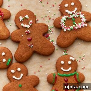 Overhead view of decorated gluten-free gingerbread cookies, showcasing intricate white icing patterns against their warm brown color.