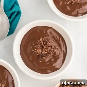 Bowls of intensely rich dairy-free chocolate pudding, elegantly topped with delicate shaved chocolate curls, perfectly portioned and ready to serve.