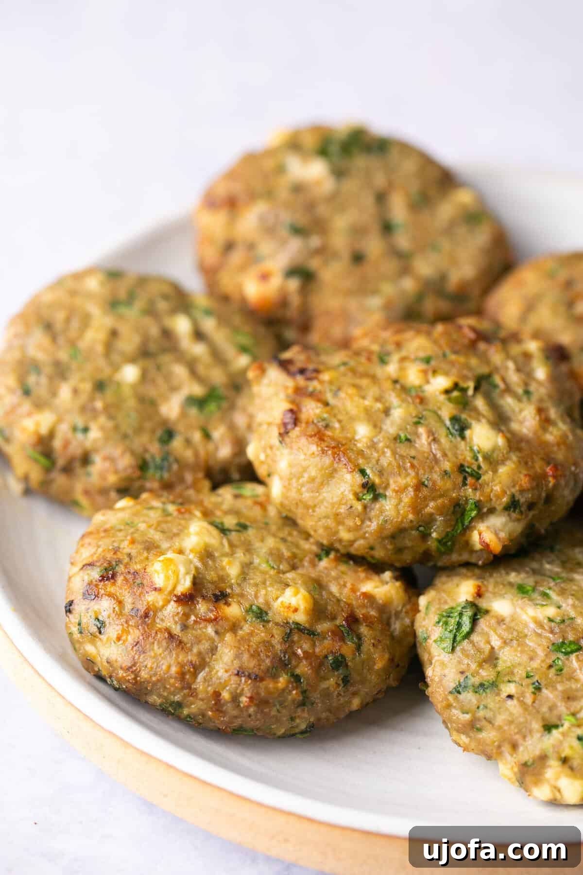A plate showcasing several golden-brown, perfectly air-fried turkey burger patties, ready for serving or topping.