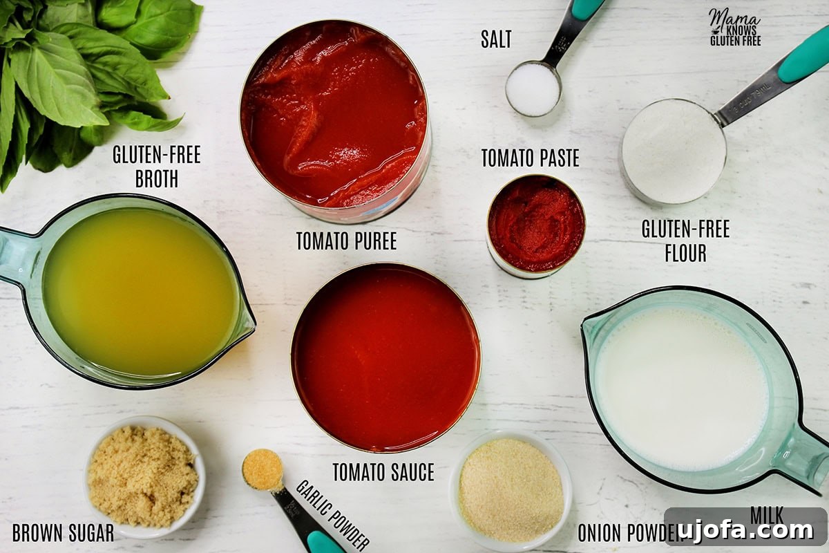 all the ingredients to make gluten-free tomato soup