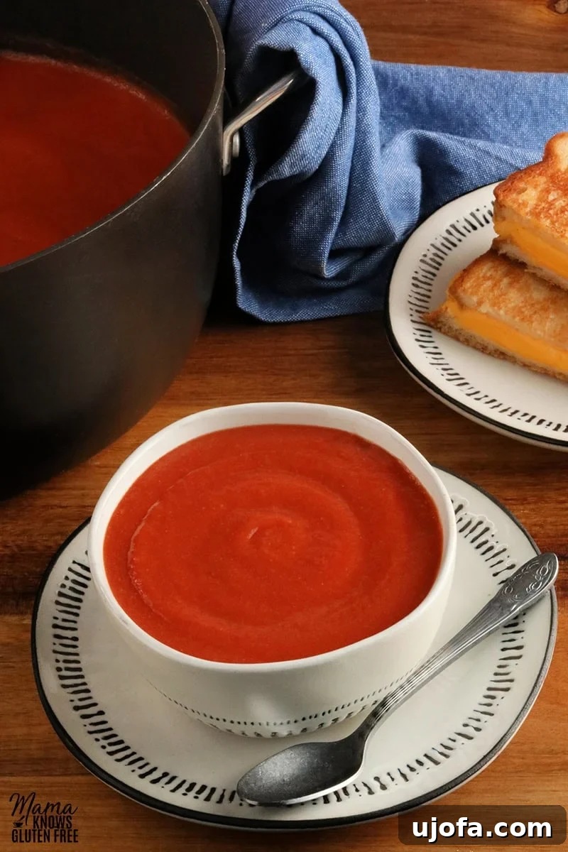 bowl of gluten-free tomato soup with a spoon and grilled cheese sandwiches and pot of soup in the back ground