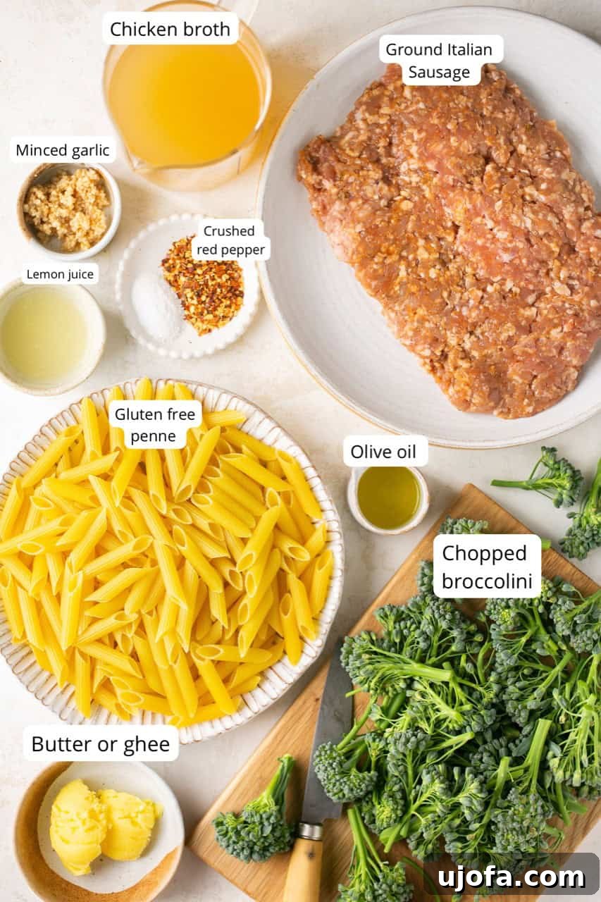 Hearty Sausage and Broccolini Pasta 3 A selection of fresh ingredients laid out for making sausage broccolini pasta, including pasta, sausage, broccolini, garlic, lemon, and spices.
