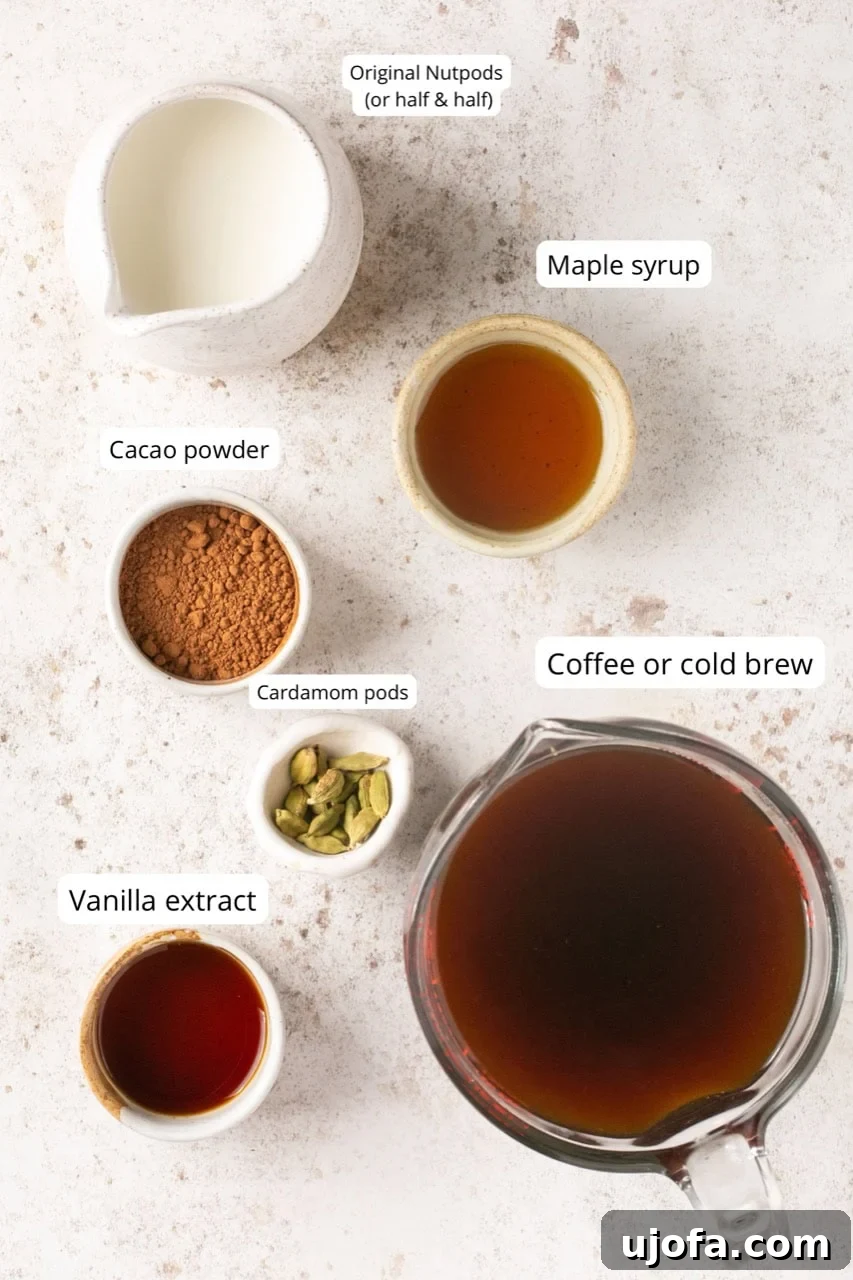 All the ingredients neatly laid out to make a delicious mocha iced coffee recipe, ready for blending.