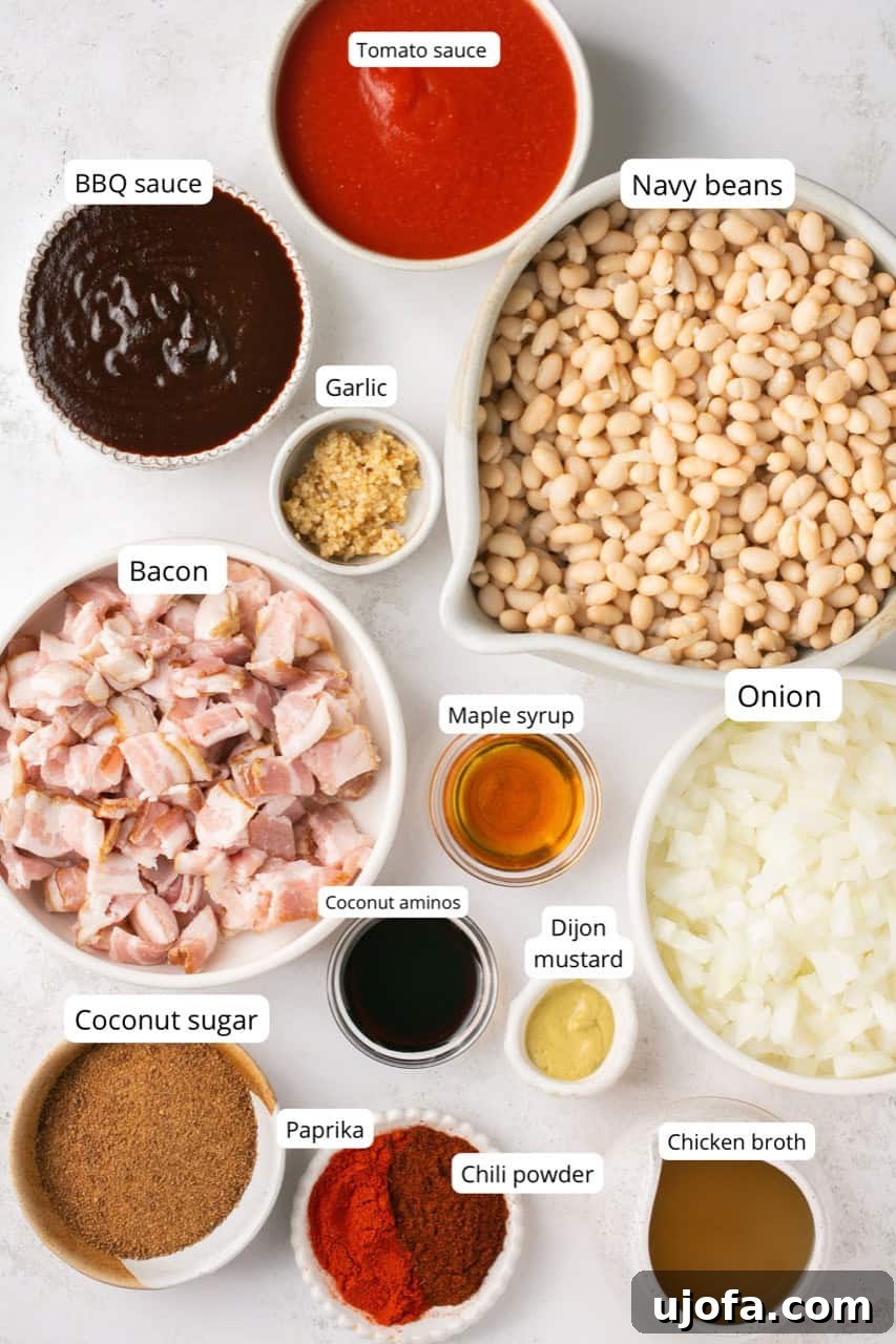 A photo displaying all the ingredients needed for the healthy baked beans recipe.