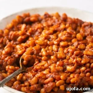 A bowl of healthy baked beans with a silver spoon, ready to be served.