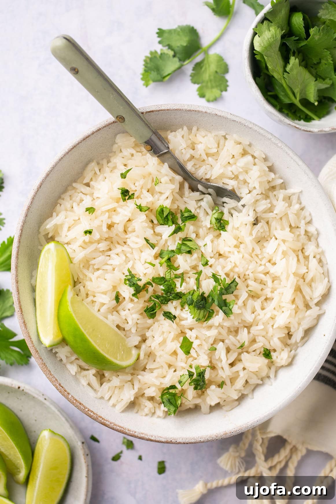 Effortless Instant Pot Coconut Rice 2 A bowl of creamy Instant Pot coconut rice garnished with fresh cilantro and vibrant lime wedges, ready to be served as the perfect side dish.