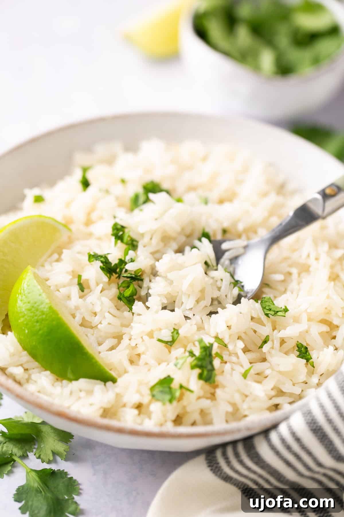 Effortless Instant Pot Coconut Rice 5 A close-up shot of fluffy coconut rice in a white bowl, elegantly garnished with a fresh lime wedge and vibrant cilantro. A silver fork is poised to scoop a perfect bite.