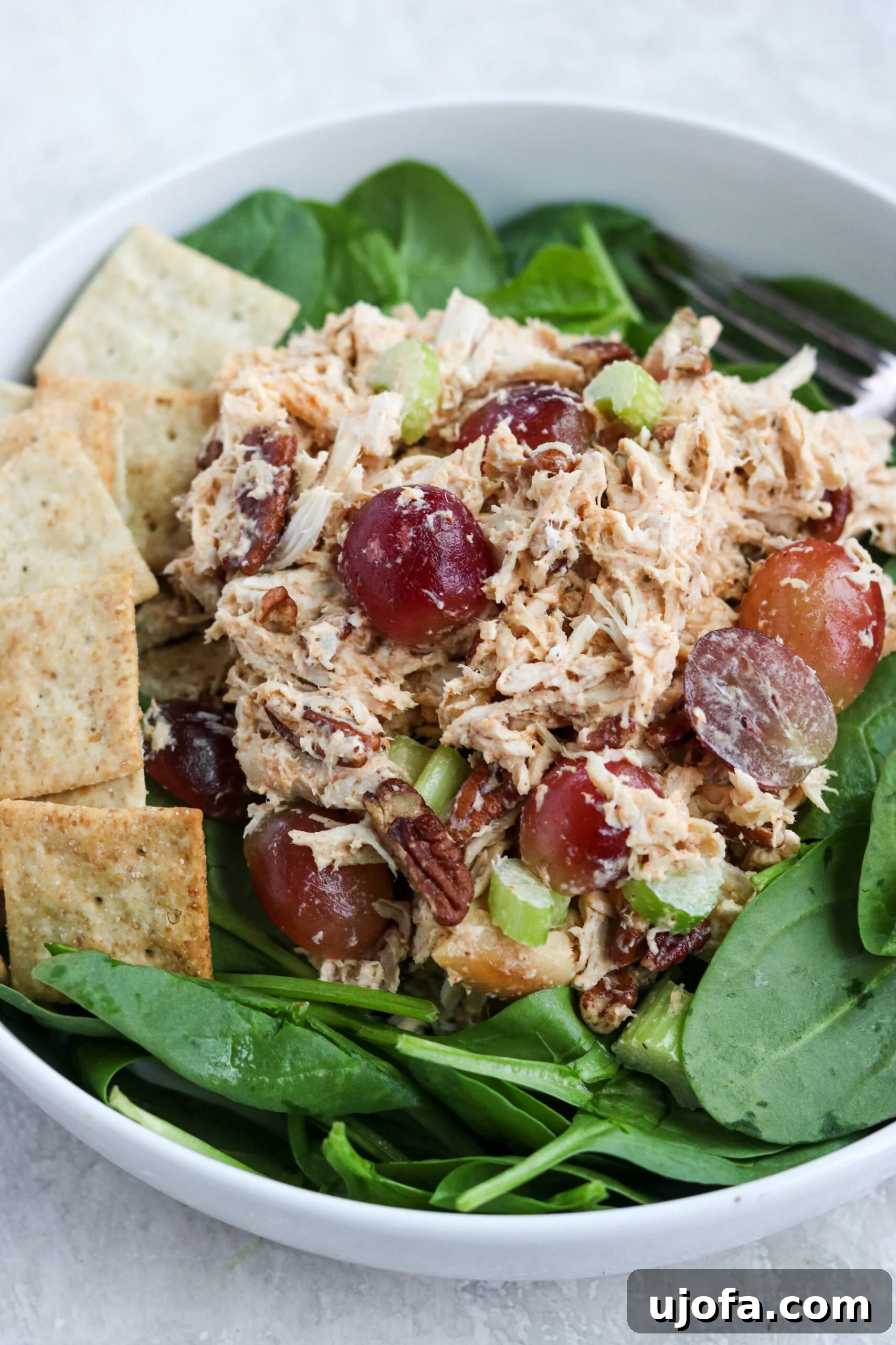 Healthy chicken salad with grapes, pecans, and celery on a bed of lettuce with grain-free crackers