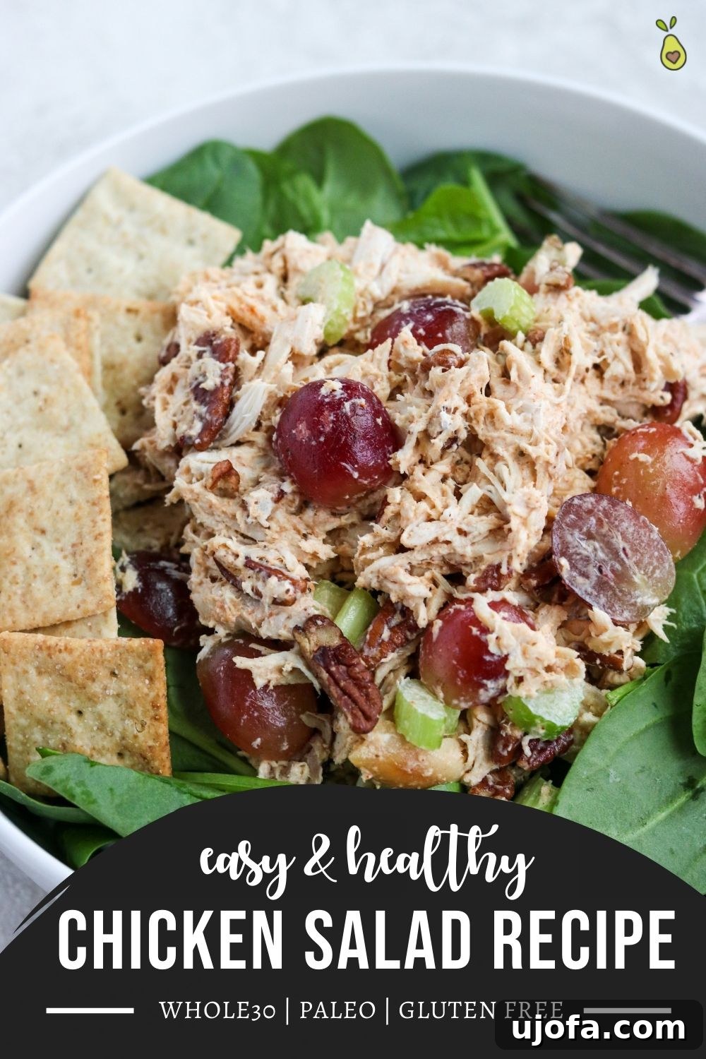 Long pin image for Pinterest featuring healthy chicken salad