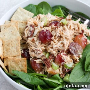Chicken salad with grapes on a bed of greens