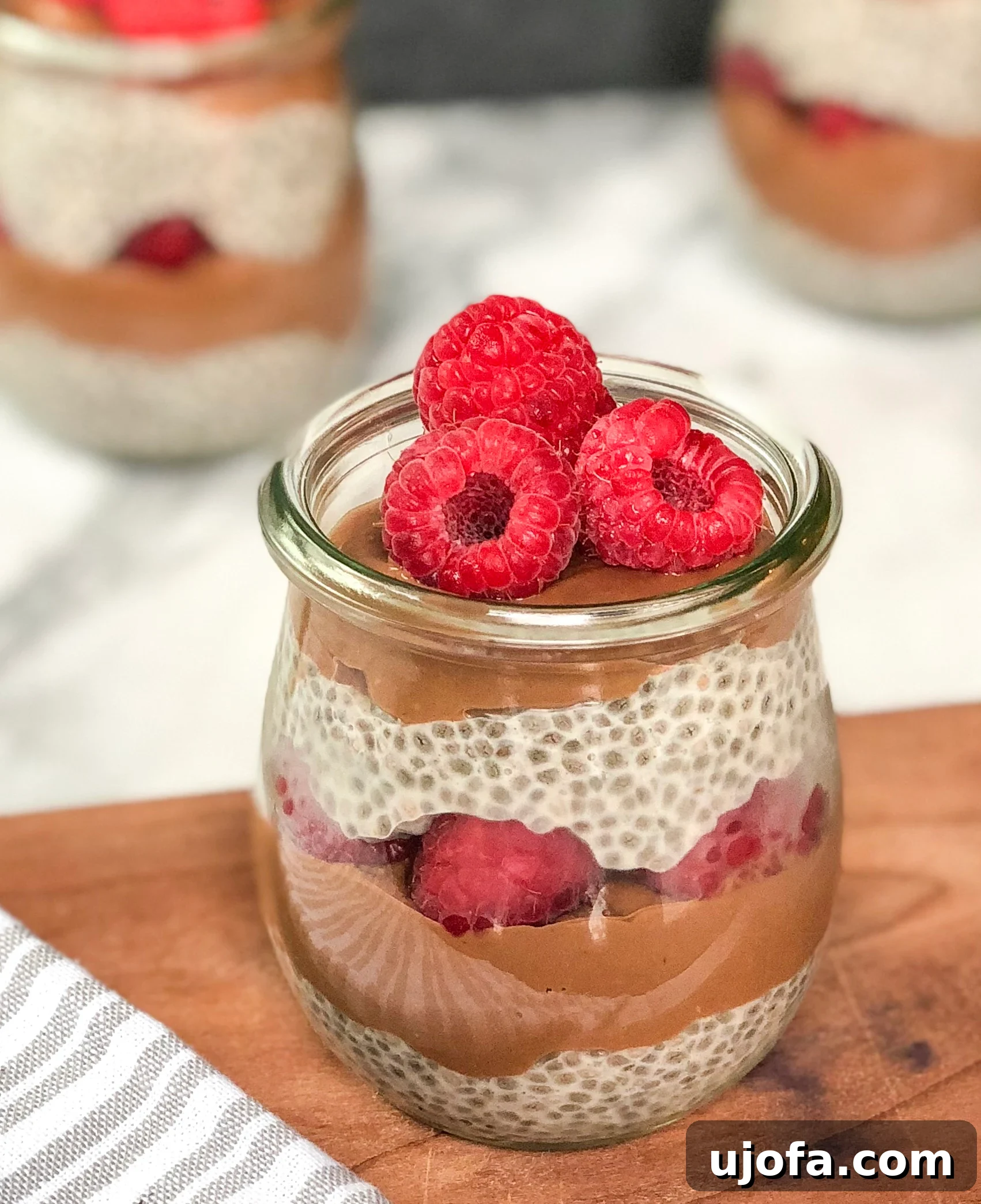 Ruby Cocoa Chia Layers 2 Delicious Chocolate Raspberry Chia Parfaits layered in glass jars