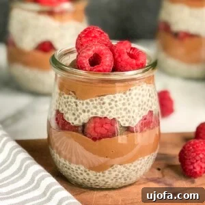 Ruby Cocoa Chia Layers 4 Chocolate Raspberry Chia Parfaits in glass jars