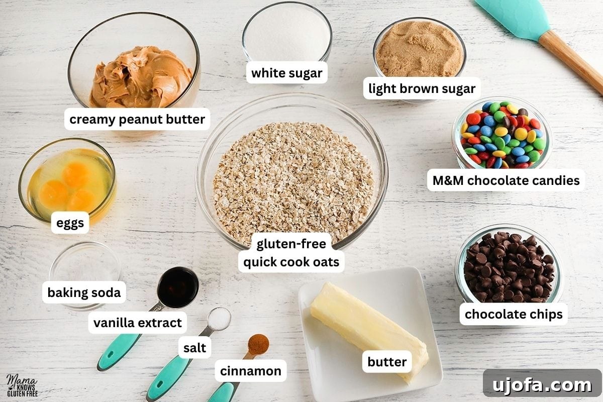 Beastly Gluten-Free Bites 3 A selection of ingredients for baking gluten-free monster cookies, clearly labeled and ready for use.