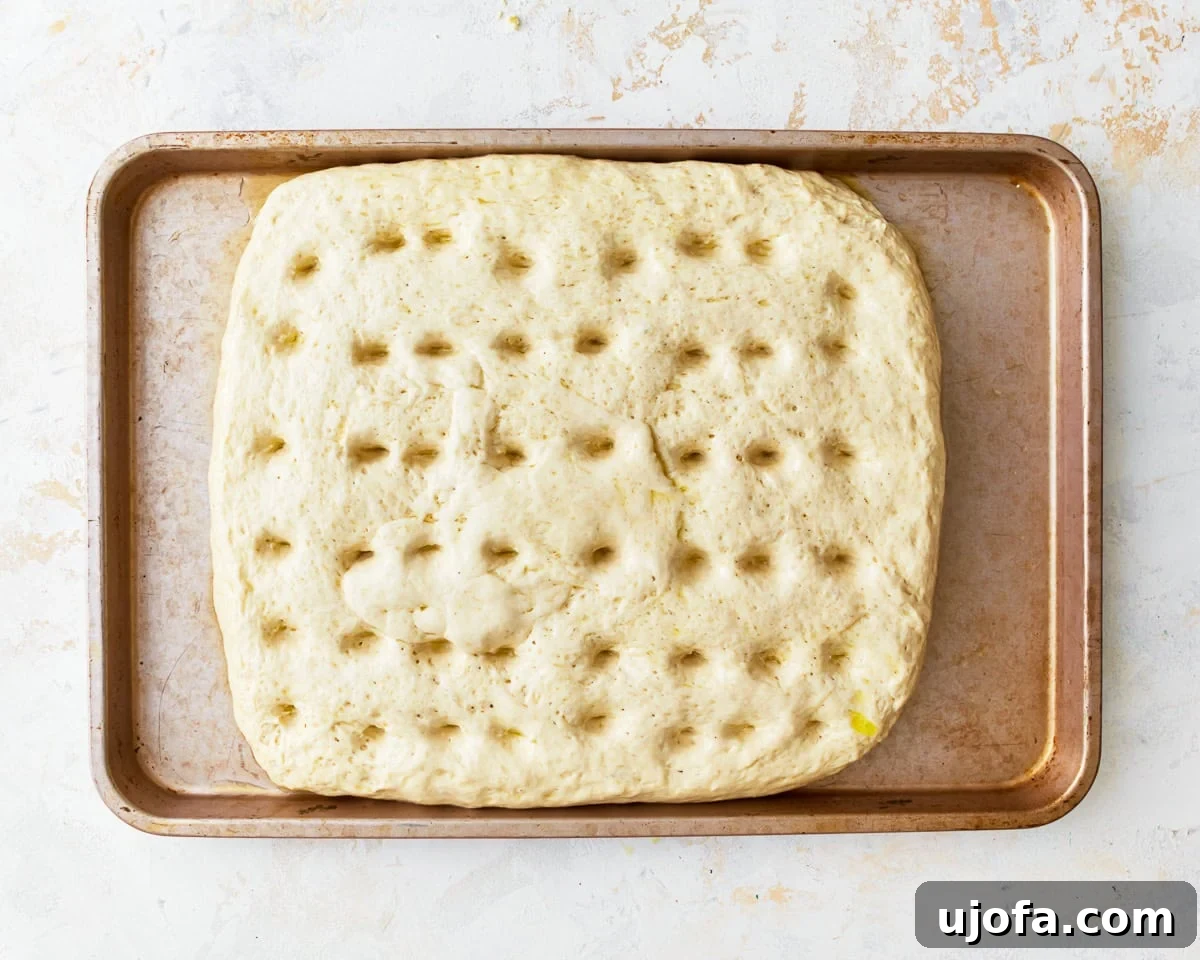 Artisan Gluten-Free Focaccia 12 dimpled gluten-free focaccia dough on a baking sheet.
