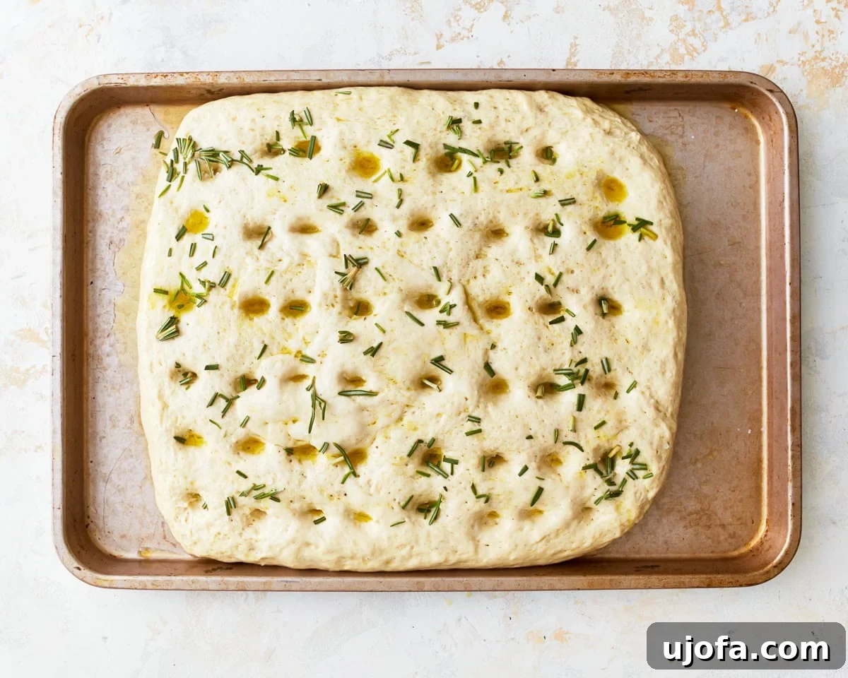 Artisan Gluten-Free Focaccia 13 dimpled gluten-free focaccia dough topped with oil and rosemary.