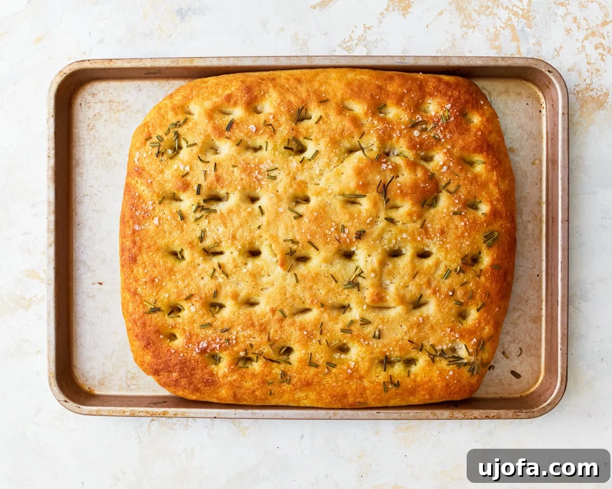 Artisan Gluten-Free Focaccia 14 baked gluten-free focaccia.