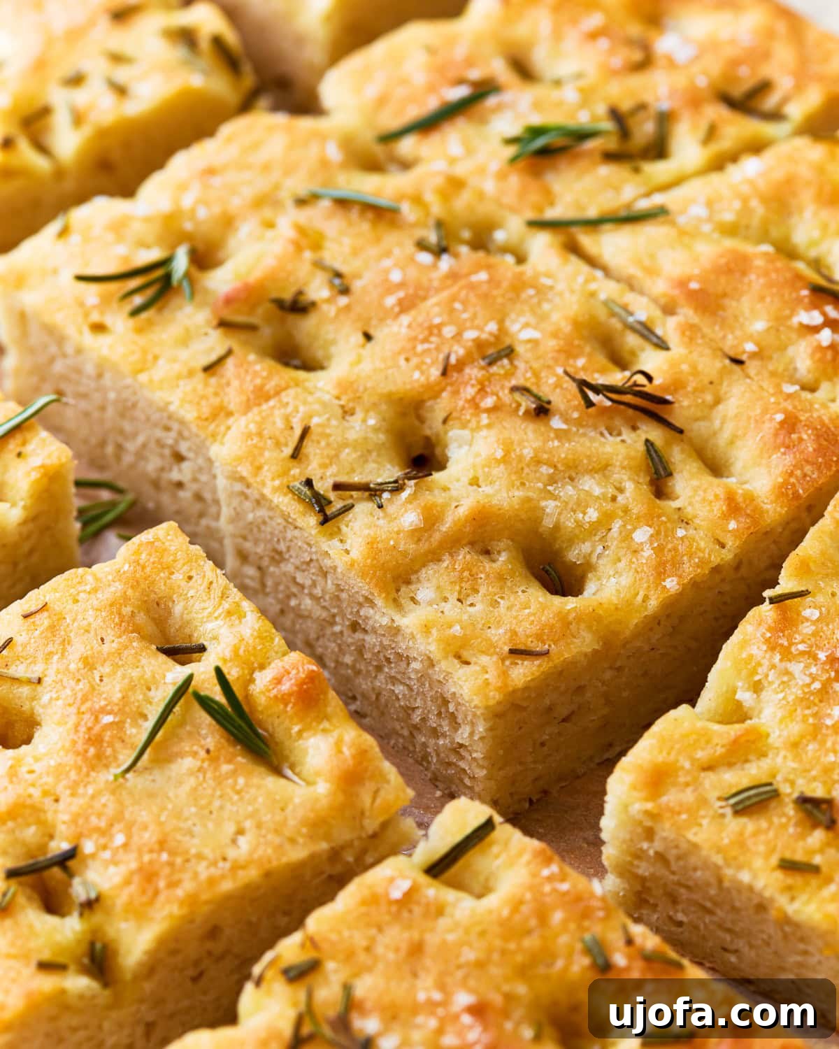Artisan Gluten-Free Focaccia 15 cut gluten-free focaccia.