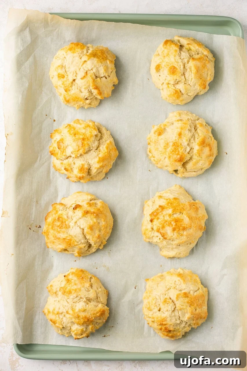 Eight perfectly baked golden-brown gluten-free biscuits arranged evenly on a baking sheet lined with parchment paper, fresh from the oven and ready to serve.