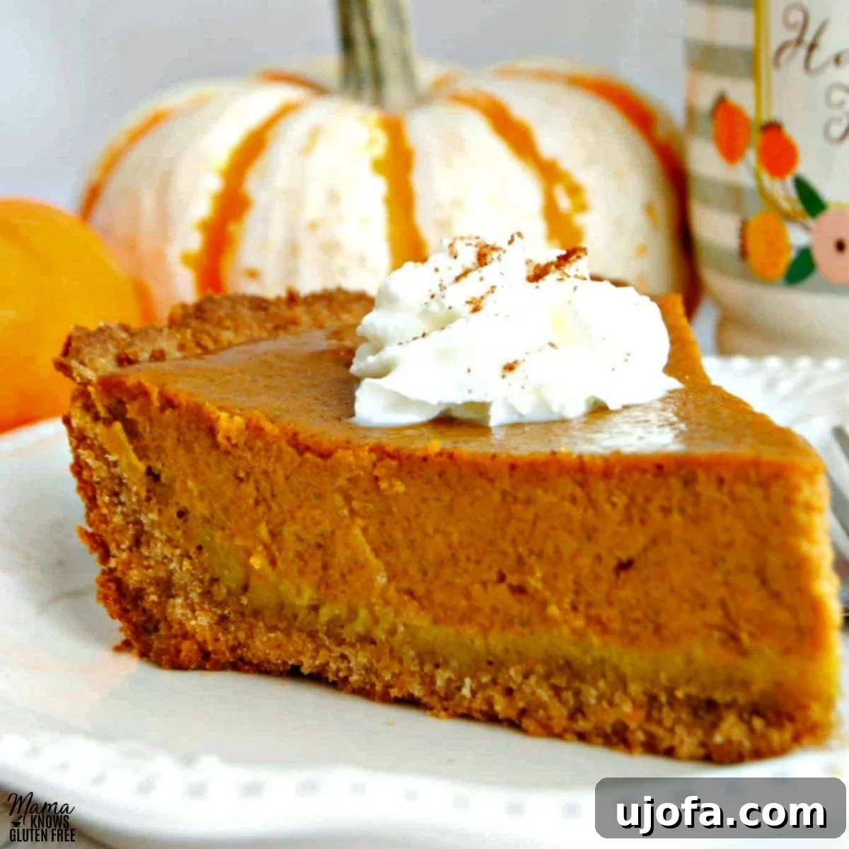gluten-free pumpkin pie slice on a white plate with pumpkins in the background