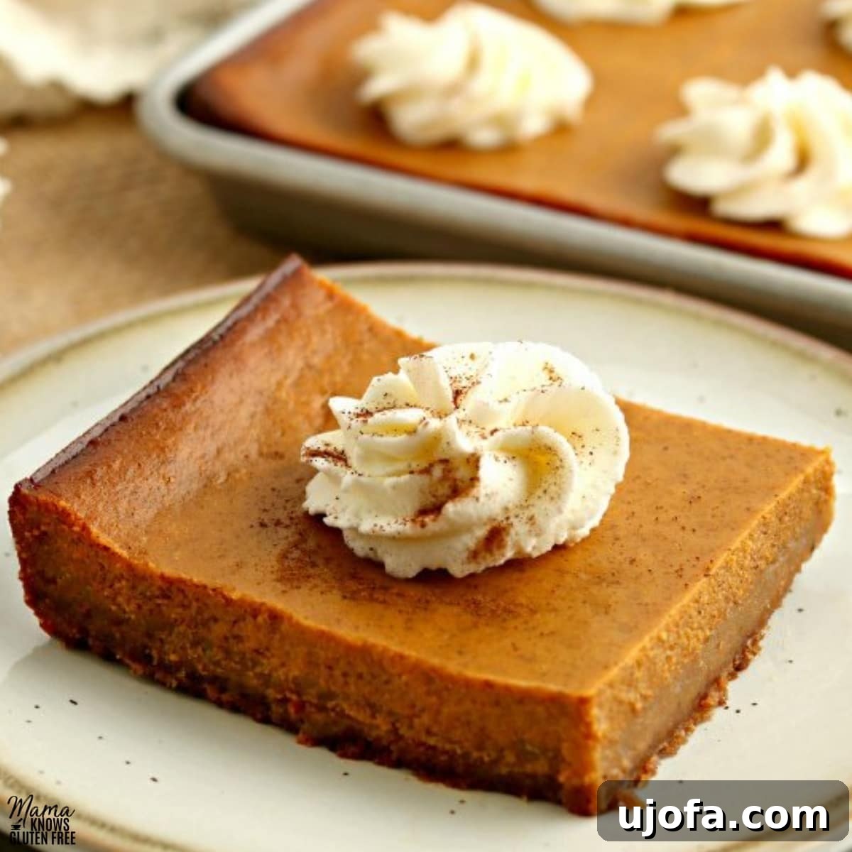 gluten-free pumpkin pie bar slice on a white plate with the bars in the background
