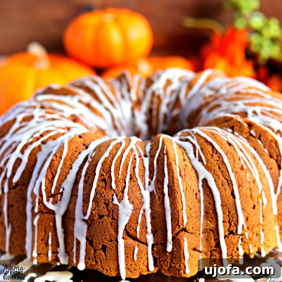 gluten-free pumpkin cake with pumpkins in the background