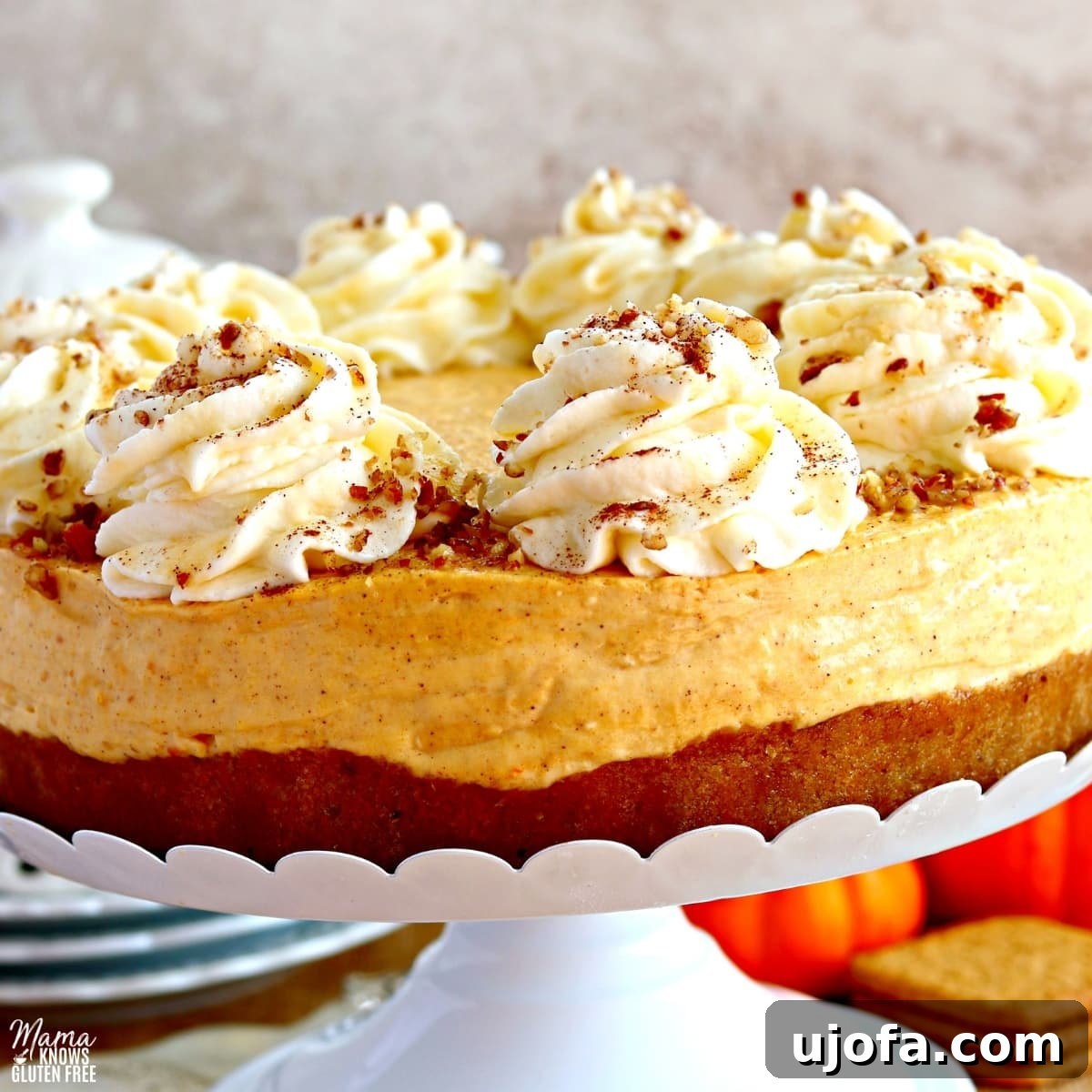 gluten-free pumpkin cheese cake on a white cake stand