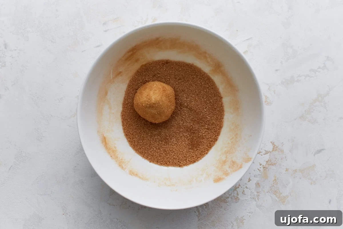 Pillowy Soft Gluten-Free Snickerdoodles 10 A perfectly shaped cookie dough ball, thoroughly coated in a vibrant cinnamon-sugar mixture, held above a white bowl of the same coating, demonstrating the classic snickerdoodle preparation.