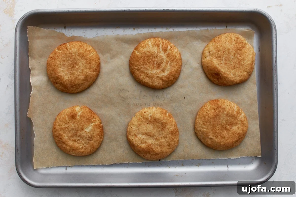 Pillowy Soft Gluten-Free Snickerdoodles 12 A fresh batch of baked gluten-free snickerdoodle cookies cooling on parchment paper on a baking sheet, showcasing their beautiful golden-brown color and characteristic crackled cinnamon-sugar tops.