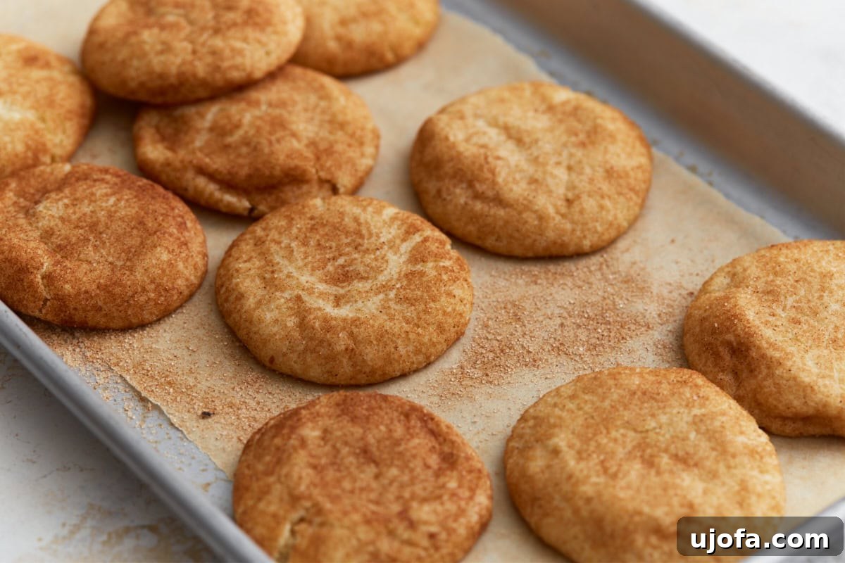 Pillowy Soft Gluten-Free Snickerdoodles 13 Warm, freshly baked gluten-free snickerdoodle cookies gently cooling on a parchment-lined pan, highlighting their perfect cinnamon-sugar coating and soft, inviting texture.