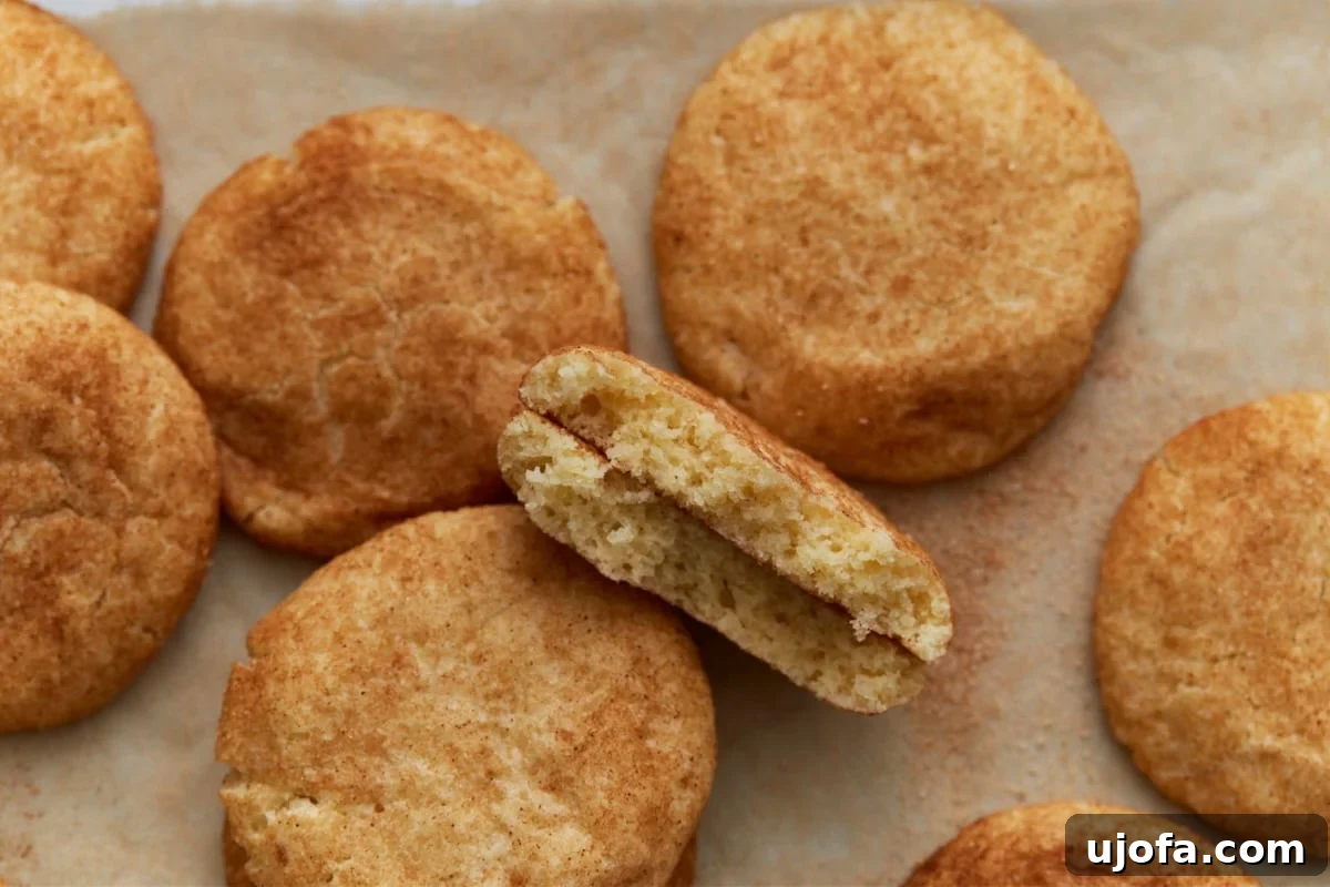 Pillowy Soft Gluten-Free Snickerdoodles 14 A close-up shot of a plate of soft, gluten-free snickerdoodle cookies, with one broken in half to reveal its tender, fluffy interior and generous cinnamon sugar coating. Ready to be enjoyed!