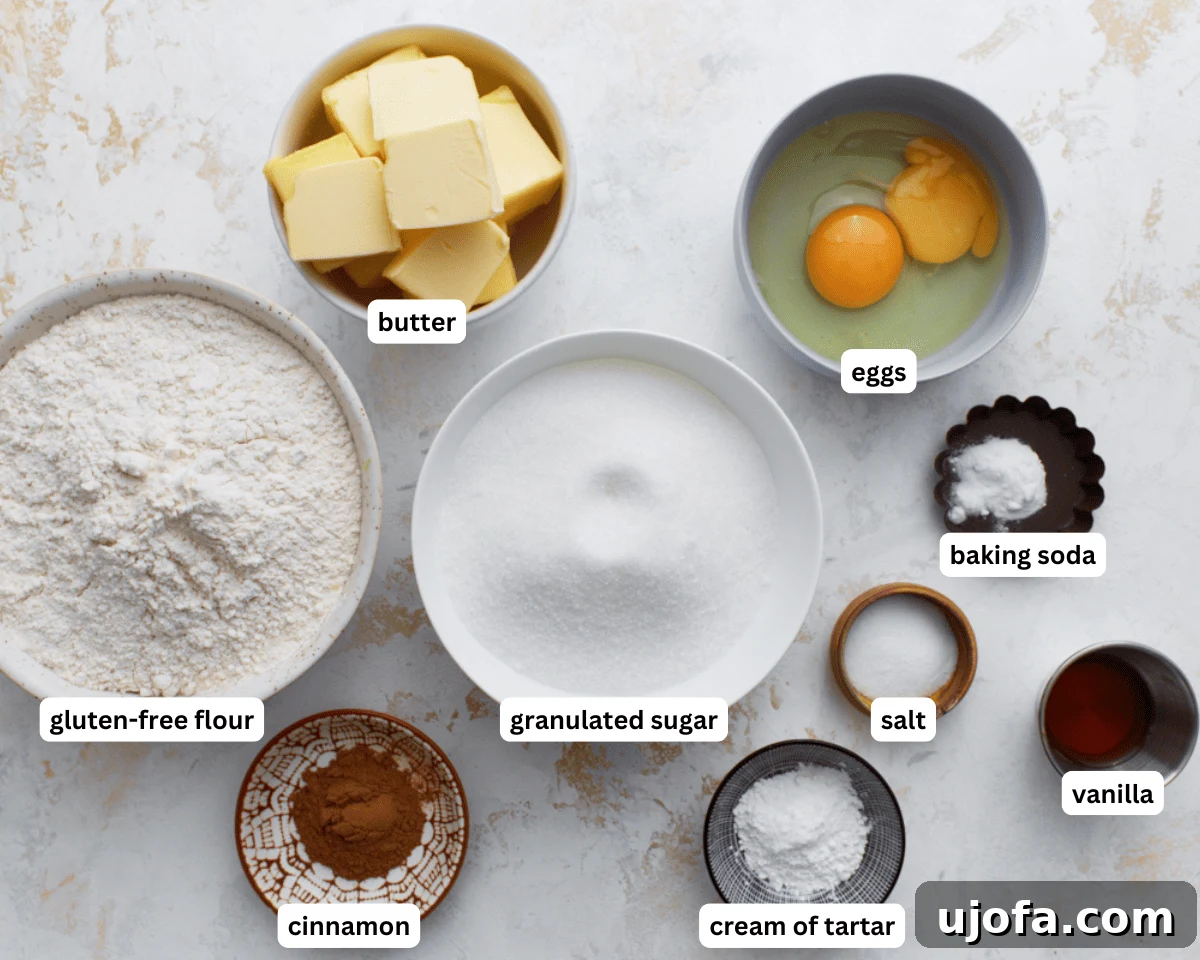 Pillowy Soft Gluten-Free Snickerdoodles 4 All the essential ingredients for making gluten-free snickerdoodle cookies laid out on a clean surface, including butter, sugar, eggs, vanilla, gluten-free flour, cream of tartar, baking soda, salt, and cinnamon.