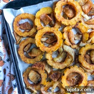Sweet & Spicy Delicata Squash with Apples & Onions main image