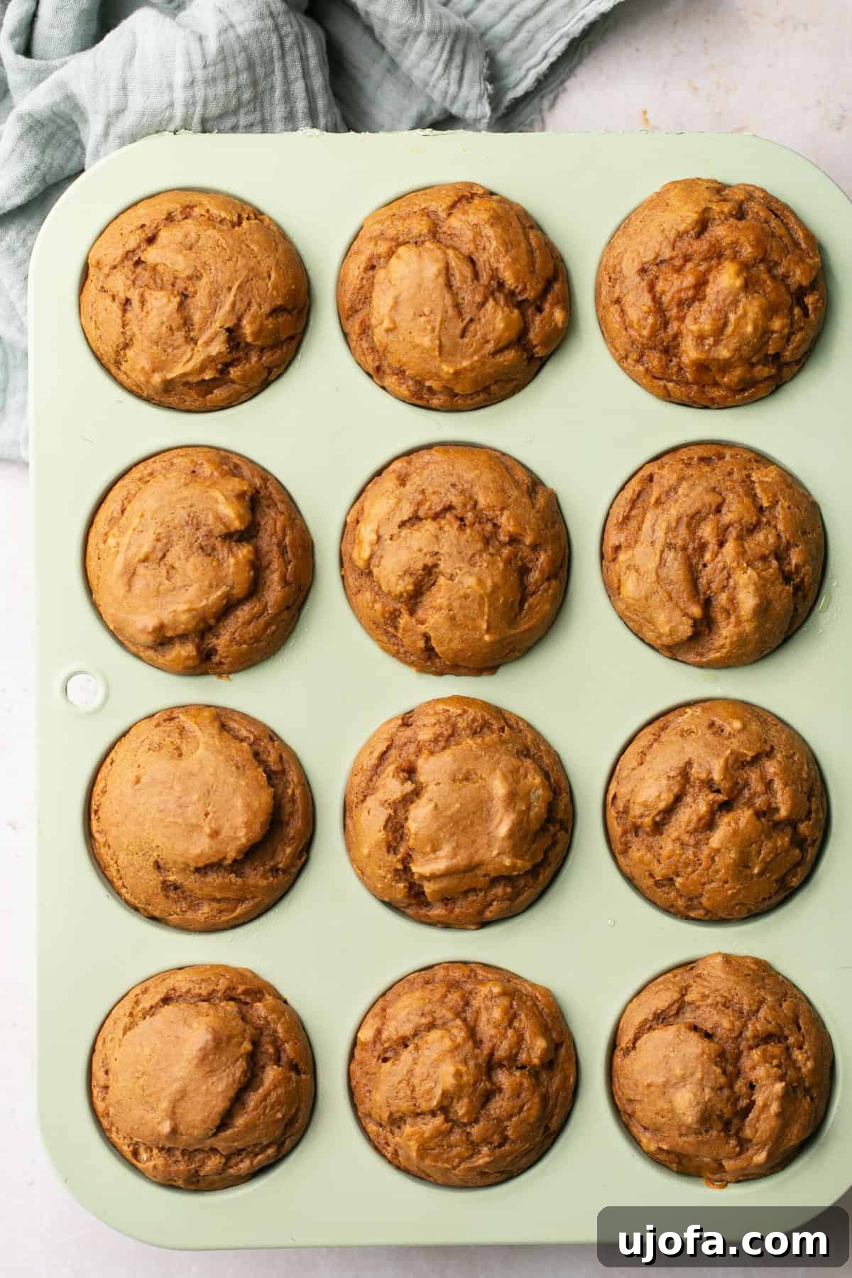 Moist Dairy-Free Pumpkin Muffins with Tangy Cream Cheese Frosting 5 An overhead shot showcasing a dozen freshly baked gluten-free pumpkin muffins cooling in a muffin tray, ready for frosting.