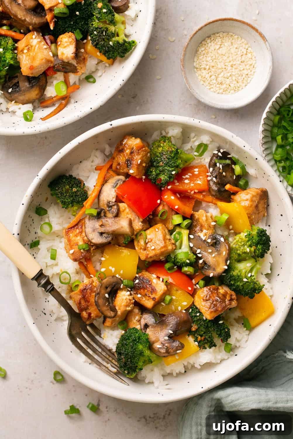 Two white bowls filled with salmon stir fry over white rice, viewed from above. The stir fry showcases colorful vegetables and tender salmon pieces, garnished with sesame seeds.