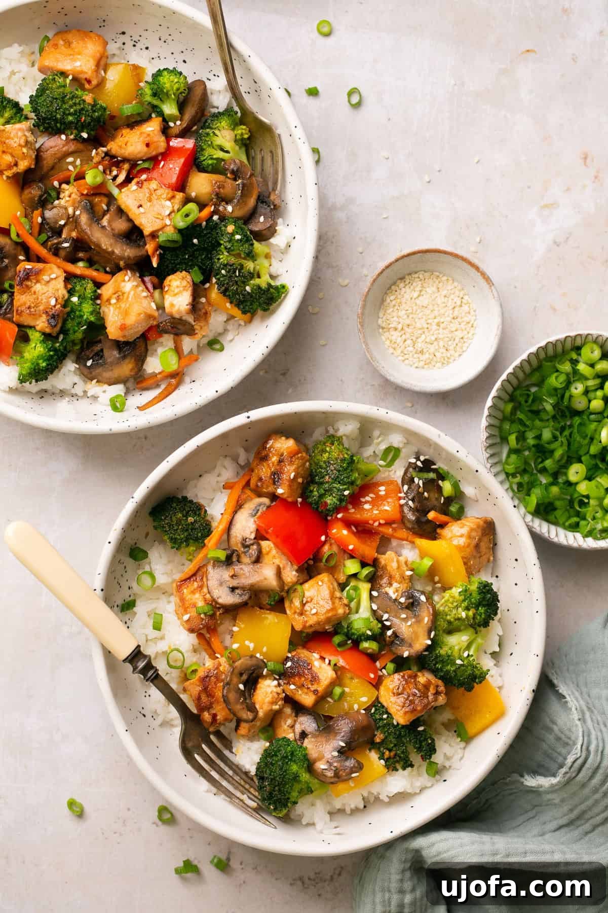 An overhead shot capturing two bowls generously filled with vibrant stir-fried vegetables, fluffy white rice, and tender salmon pieces, artfully arranged for a delicious meal.