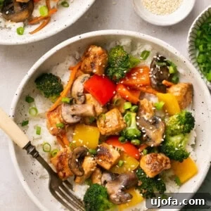 salmon stir fry in a bowl over white rice