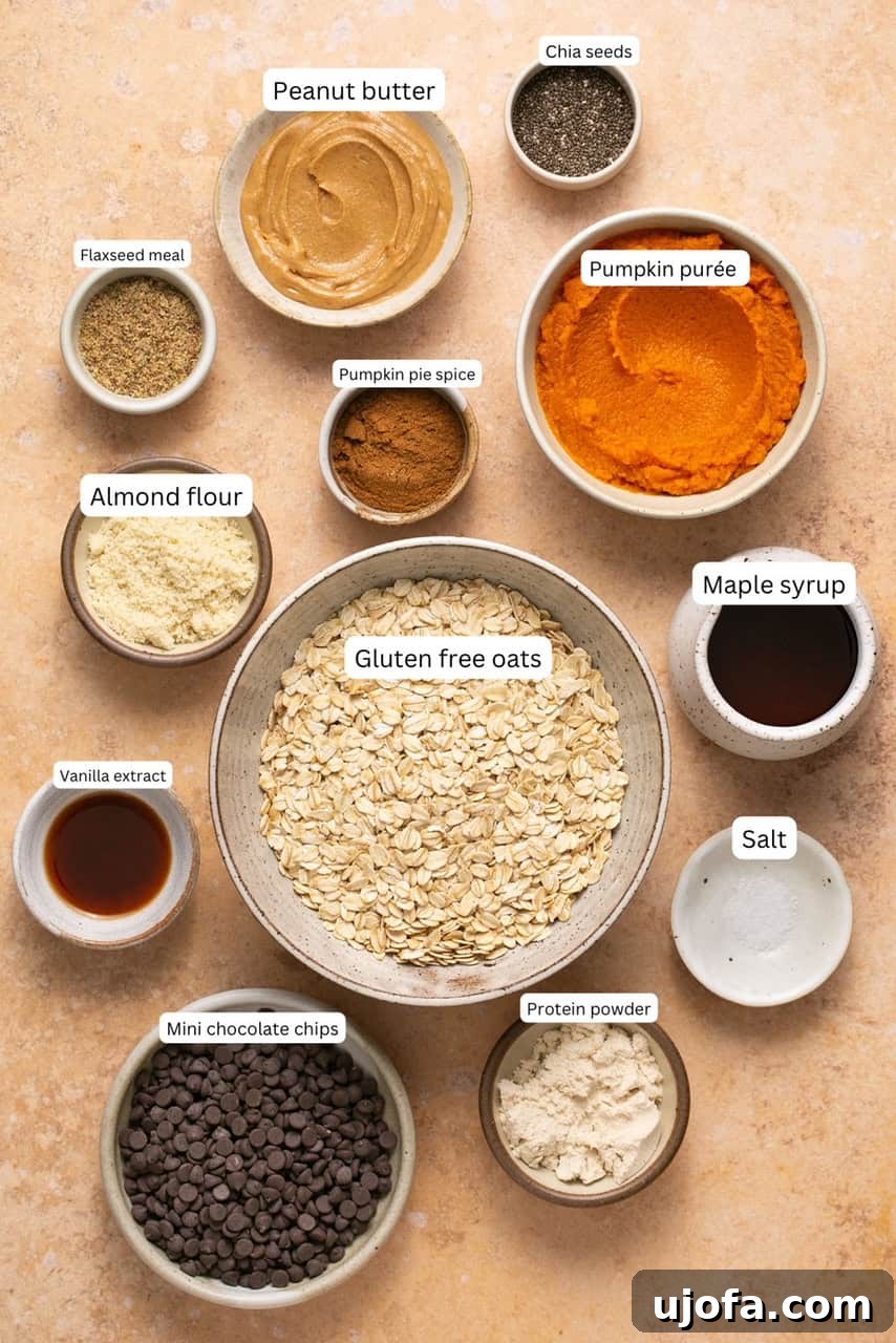 Arrangement of ingredients for pumpkin bliss balls on a white background
