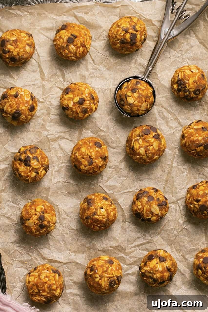 Pumpkin pie bliss balls arranged neatly on a baking sheet with a cookie scoop beside them